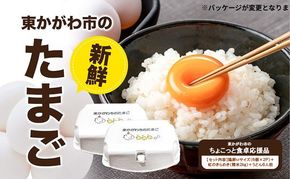 東かがわ市のちょこっと食卓応援品「鶏卵Mサイズ（6個×2P）虹のきらめき（精米2kg）うどん6人前」 たまご 卵 鶏卵 米 精米 うどん セット