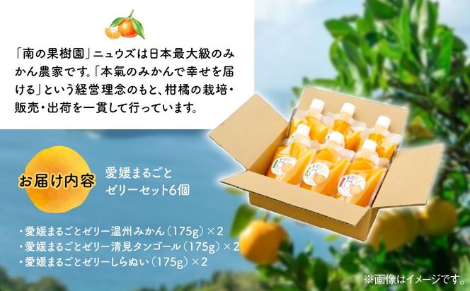 【皮までまるごと国産無添加】愛媛まるごとゼリーセット（6個） IKTF011