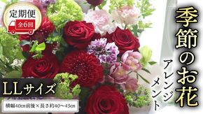 【 定期便 6か月 】季節の お花 の アレンジメント LL ギフト プレゼント 花 お祝い 贈答 記念日 フラワー  [CT143ci]