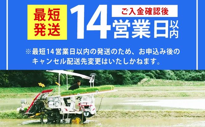 令和7年産　福岡県　元気つくし　10kg（5kg×2袋）《築上町》【カネガエ】[ABFA005]