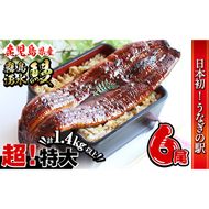 【数量限定】超特大！鹿児島県産 山田水産の霧島湧水鰻(計1400g以上・236g以上×6尾) c7-010