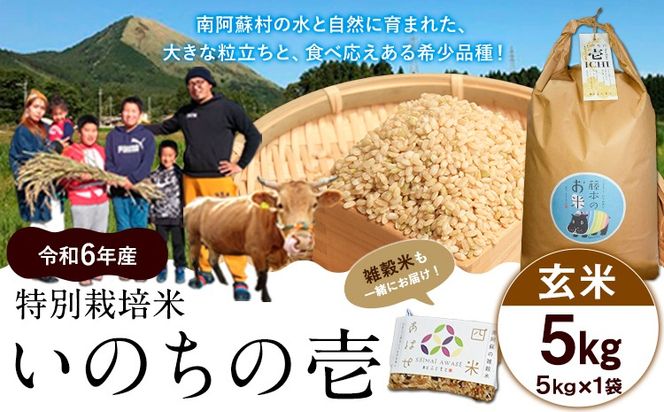 新米 令和6年産 特別栽培米 いのちの壱(玄米)5kg×1 雑穀米付き《30日以内に出荷予定(土日祝除く)》 熊本県 南阿蘇村 熊本県産 虹色のかば 雑穀米---sms_inci6_30d_24_13000_g5kg---