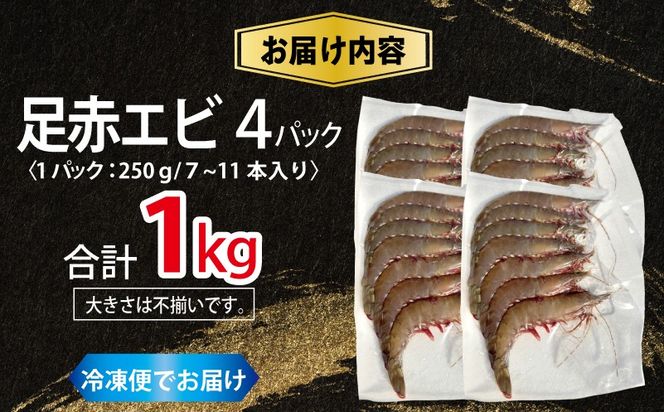 030D229 足赤エビ 1kg【国産 えび 天然 ぷりぷり 海鮮 水揚げ 生食可】