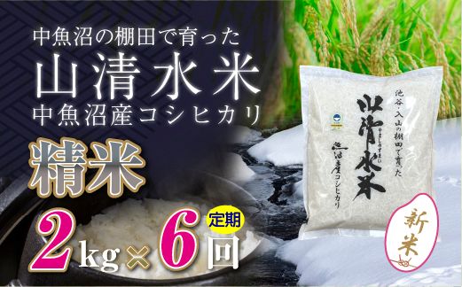 【令和8年産 新米】 【定期便／全6回】精米2kg　新潟県魚沼産コシヒカリ「山清水米」十日町市 米