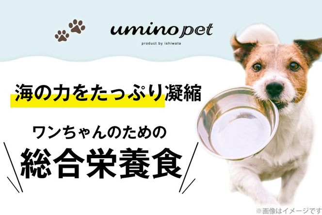 ドッグフード UMINO PET 総合栄養食 800g 1袋 [石渡商店 宮城県 気仙沼市 20565993] 犬 ドックフード ヒューマングレード 成犬用 サメ肉 犬用 成犬 サメ ペット ペットフード