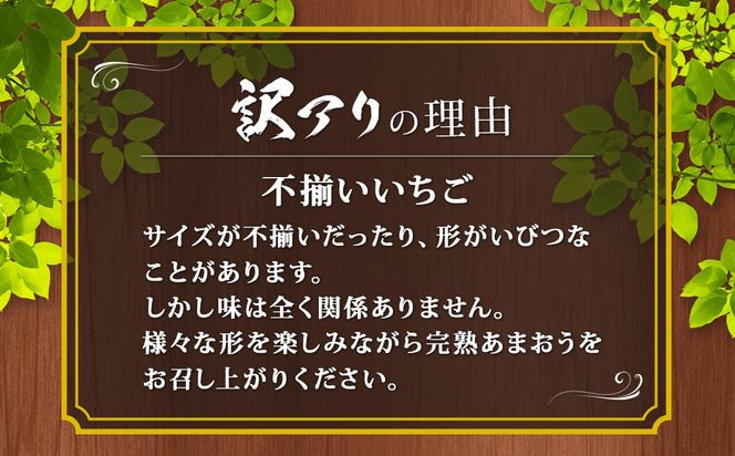 【訳あり】完熟あまおう 約275g×4パック 合計約1.1kg 【2025年1月上旬～3月上旬順次出荷予定】いちご 苺 イチゴ ベリー 果物 フルーツ お取り寄せ デザート おやつ