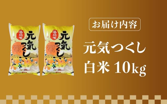 【先行予約】【令和7年産】福岡県産ブランド米「元気つくし」白米 10kg (5kg×2袋)【2025年11月以降順次発送】《築上町》【株式会社ゼロプラス】 [ABDD003] 