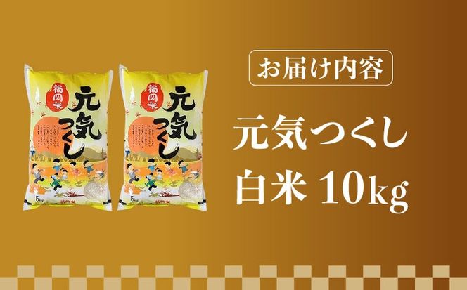 【令和5年産】福岡県産ブランド米「元気つくし」白米 10kg (5kg×2袋)《築上町》【株式会社ゼロプラス】[ABDD003]