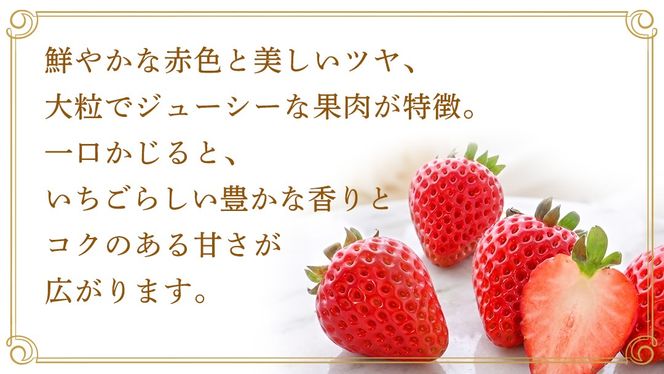 【桐箱入り】とちおとめ 9～15粒 【2027年1月から発送開始】（茨城県共通返礼品 [いちご]：城里町産） いちご イチゴ 苺 とちおとめ 甘い 国産 人気 桐箱入り 贈答 贈り物 ギフト ふるさと納税