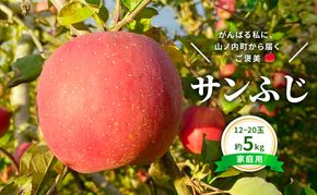 【2026年12月発送】今日を癒すひと玉 私のサンふじ　サンふじ　家庭用　5kg りんご 果物