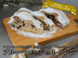 【クリスマスまでに発送】【予約】ブルーベリー シュトーレン （小） 250g前後×2個　※令和8年12月17日より発送
