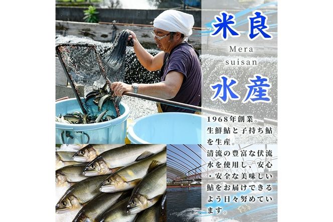 【北海道・離島不可】＜先行予約受付中！2025年10月～11月中旬の間に発送予定＞＜期間限定＞生子持ち鮎(約1kg・10～14匹) 鮎 冷蔵 子持ち鮎 生き〆 生きシメ 国産 門川町産 宮崎県産 塩焼き あゆ 川魚 養殖 香魚 期間限定 【ME-02】【米良水産】