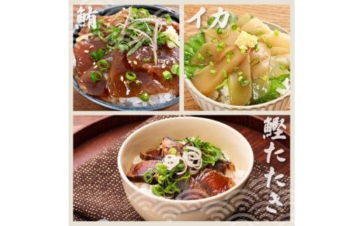 【6回定期便】訳あり土佐の海鮮漬け丼（5種×各2袋）セット 漬け丼の素 タイ 鯛 ブリ 鰤 マグロ 鮪 イカ カツオ 鰹 たたき 新鮮 魚 おかず おつまみ 惣菜 小分け【企業組合　宇佐もん工房】 [BQAB015]