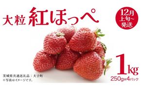 紅ほっぺ 大粒 250g（8～12粒）×4パック【2026年12月上旬発送開始】(茨城県共通返礼品：大子町) いちご 苺 果物 フルーツ 果実