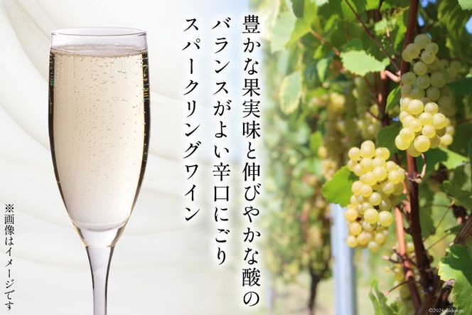 白 ワイン テンポ ビアンコ 750ml [Poggio Verde（ポッジョ ヴェルデ） 長野県 池田町 48110668] 白ワイン わいん スパークリング 国産ぶどう使用 お酒 酒 アルコール