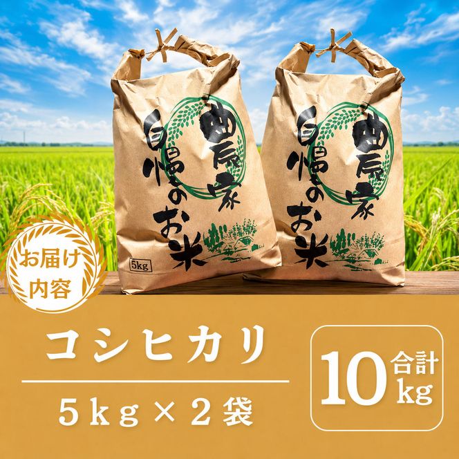 【先行予約】無洗米 令和8年産 コシヒカリ 10kg【 お米 米 コメ 精米 南丹市 】 令和8年 5キロ 新米 新米26