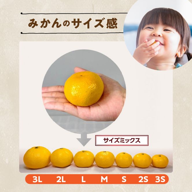 MK1068_【2026先行予約】訳あり ゆら早生 みかん 箱込 5kg ( 内容量 4.4kg ) サイズミックス 有田みかん 和歌山県産