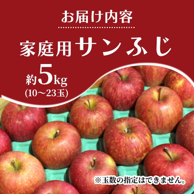 【平均糖度13度以上】2月発送 家庭用 訳あり サンふじ 約 5kg りんご リンゴ 林檎 果物 フルーツ わけあり 青森