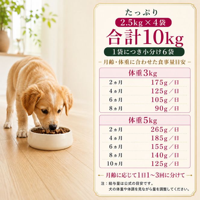 ビューティープロ ドッグ 子犬用 12ヵ月頃まで 2.5kg ｘ4(ケース単位) ドッグフード