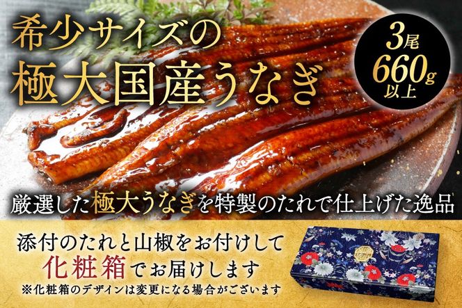 （6月）国産 極大 特上うなぎ(220g×3尾)【OT000OD30_006】