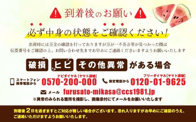 《2026年分受付中》『夏の女神』種が少なくて甘い黒皮スイカ1玉入（中玉4～6kg）【01005】