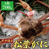 765.【活】≪2025年12月～2026年1月発送≫ 特撰 松葉がに【ブランドタグ付き】（700g超×1杯） 313726_BS010VC01