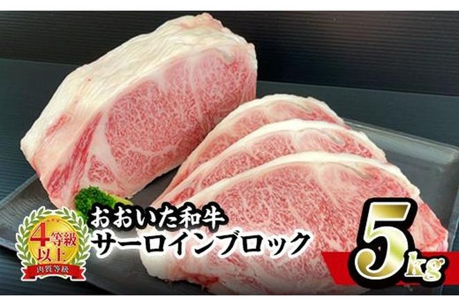 おおいた 和牛 サーロイン ブロック (5kg) 国産 豊後牛 ステーキ BBQ バーベキュー 惣菜 やきにく おかず 百年の恵み 大分県 佐伯市【BD192】【西日本畜産 (株)】