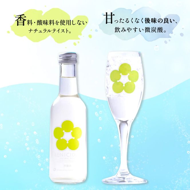 炭酸 BENIサイダー 12本 セット 炭酸飲料 飲料 梅サイダー サイダー 紅映 梅 うめ ウメ 福井県 福井 