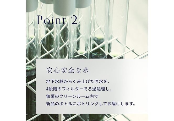 【12ヶ月お届け】富士山の源流水（9.5L×2本/ケース）  定期便 水 ミネラルウォーター 天然水 ウォーターサーバー 詰め替え用 山梨 富士吉田