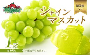 ぶどう 2026年 先行予約 シャイン マスカット 1房 約800g 贈答箱 ブドウ 葡萄 フルーツ 果物 岡山 赤磐市産 農マル園芸 あかいわ農園 果物類 シャインマスカット 