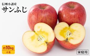 りんご サンふじ 家庭用 小玉 約10kg フルーツ 果物 林檎 甘い 訳あり