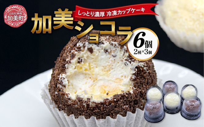 復刻版バフンケーキ　加美町名産　『加美ショコラ』　2種×各3個　(計6個入り) [やくらい土産センター 宮城県 加美町 44581293] 