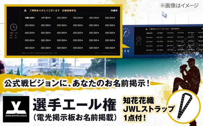 選手エール権（電光掲示板お名前掲載）＋知花花織JWLネックストラップ[BCEY004]