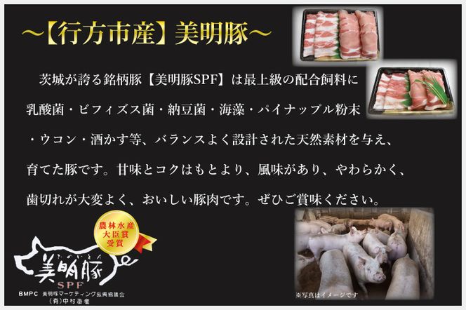 DT-21【常陸牛A5ランク・美明豚ステーキセット】常陸牛サーロインステーキ200g＋美明豚ロースステーキ280g（140g×２枚）