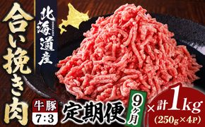 【定期便 9ヶ月連続】北海道産 合い挽き肉 合計1kg（牛7：豚3） 濃厚旨みひき肉 挽肉 挽き肉 ひき肉です 合挽肉 合挽き肉 豚 肉 豚肉 豚肉ミンチ 合挽豚肉 牛 肉 牛肉 牛肉ミンチ 合挽牛肉 合い挽き 小分け 一人暮らし セット おかず ハンバーグ 冷凍 定期便 肉 絶品 人気 ヒロセ 100000以上 10万ほど 北海道 釧路町 釧路超 特産品
