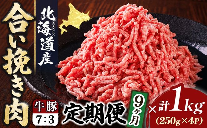 【定期便 9ヶ月連続】北海道産 合い挽き肉 合計1kg（牛7：豚3） 濃厚旨みひき肉 挽肉 挽き肉 ひき肉です 合挽肉 合挽き肉 豚 肉 豚肉 豚肉ミンチ 合挽豚肉 牛 肉 牛肉 牛肉ミンチ 合挽牛肉 合い挽き 小分け 一人暮らし セット おかず ハンバーグ 冷凍 定期便 肉 絶品 人気 ヒロセ 100000以上 10万ほど 北海道 釧路町 釧路超 特産品