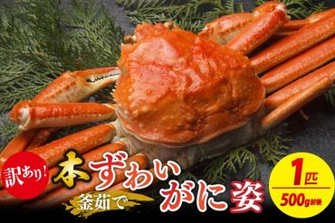 【大好評！カニ酢付き】訳あり！釜茹で！本ずわいがに姿 1匹（500g前後）　YK00209