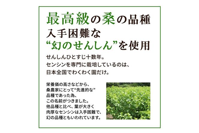 a1014 さつま桑茶 (30包) 桑の葉 桑茶 国産 無農薬 健康茶 ハーブ マルベリー ノンカフェイン【わくわく園】