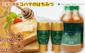 コハマのハチミツ 2.4kg 1本（プロポリス入）・500g 2本（プロポリス入） 国産 はちみつ ハチミツ 蜂蜜 hatimitu ハニー HONEY 蜜 プロポリス 生ローヤルゼリー 瓶詰 大容量 健康 贈答 プレゼント ギフト セット 内祝い 沖縄県産 沖縄