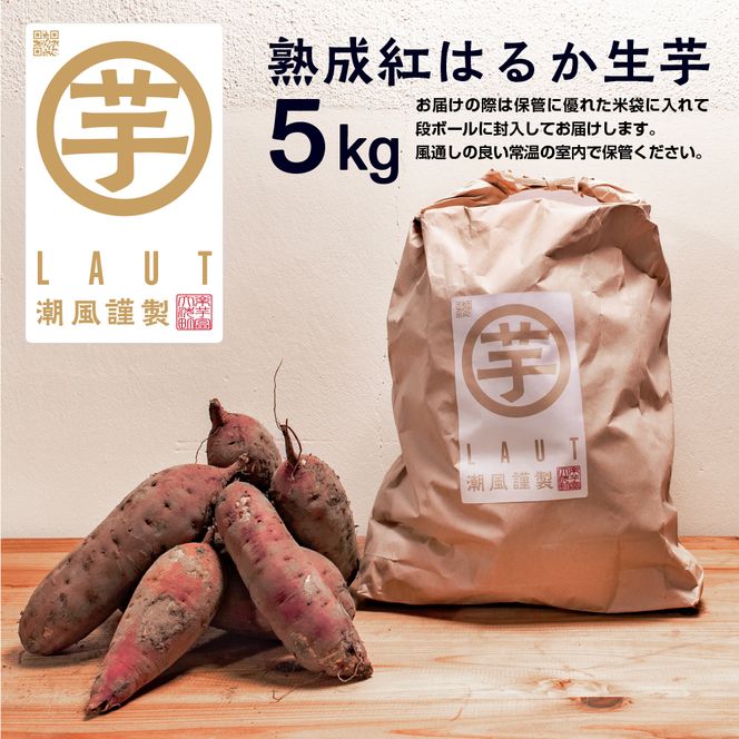 【先行予約】12月以降発送　干し芋屋のさつまいも 熟成 紅はるか 生芋 5kg 無添加 無着色 茨城県産 サツマイモ 土付き 芋 さつまいも さつま芋 薩摩芋 紅遥 べにはるか