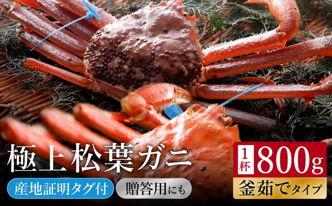 yɌLszykinosaki spa&gardens@ygpz^O 䥂ŏtKj@800