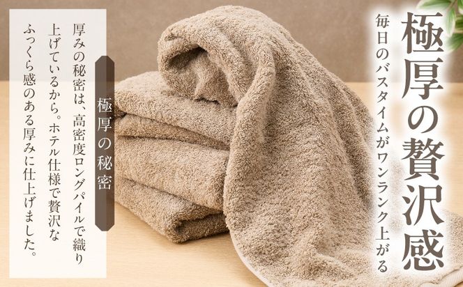 010B1935 極厚スリムバスタオル サンドベージュ 4枚【泉州タオル たおる 国産 吸水 普段使い シンプル 日用品 家族 ファミリー】