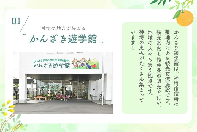 ワン・ニャン クロガネモチ蜂蜜セット(170ml×2) 【はちみつ 百花蜜 ゆるキャラ くねんワン くねんニャン 】(H059114)