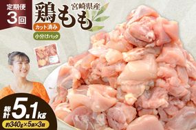 鶏肉 3回 定期便 もも 切身 340g 5袋 1.7kg 計5.1kg [南九フーズ 宮崎県 日向市 452061725] もも肉 冷凍 国産 カット 小分け ふるさと納税 鶏 とり肉 鳥肉 鶏もも 鶏もも肉 モモ 真空包装 個包装 お弁当 時短 カット済 定期 宮崎 宮崎県産 夕飯