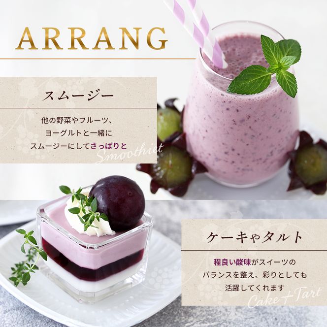 8月発送｜朝採れ旬のぶどう 2種 食べ比べセット 約1.4kg（2房） セット 詰め合わせ 産地直送 フルーツ 兵庫県 加西市