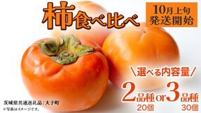 《 選べる 内容量 》柿 食べ比べ 2品種 / 3品種 ×10個【2026年10月上旬発送開始】(茨城県共通返礼品：大子町) 富有柿 次郎柿 種無し柿 筆柿 太秋柿 果物 フルーツ 旬 季節限定 期間限定