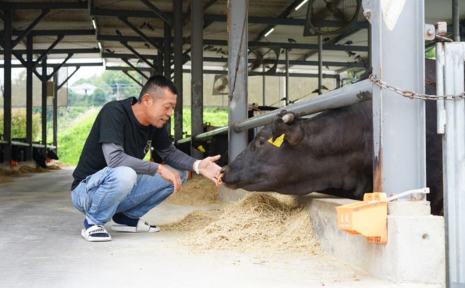 淡路椚座牛　赤身焼肉800ｇ　冷蔵 黒毛和牛 焼肉セット