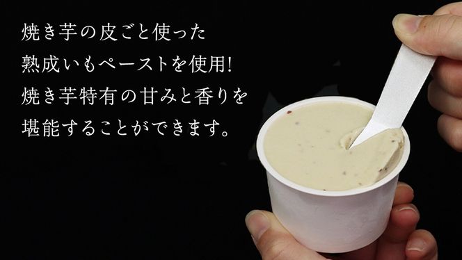 牛久市産 紅はるか 使用 焼き芋アイス 12個 入り アイスクリーム さつまいもスイーツ 焼き芋味 べにはるか 夏 アイス ギフト さつま芋 味 焼き芋 味 サツマイモ 冷凍 贈り物 [EJ009us]