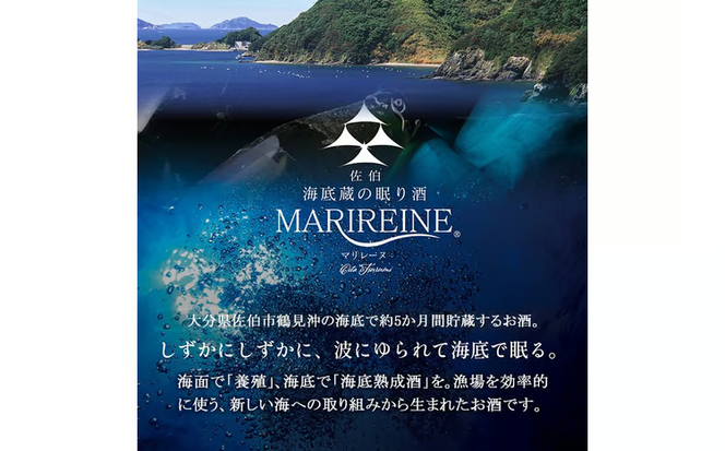 海底貯蔵 白ワイン MARIREINE ロネア コート デュ ローヌ レジョンド デ トック 2024 (750ml・1本) ワイン 白ワイン フランス 酒 パーティー マリレーヌ 海底蔵の眠り酒 熟成 大分県 佐伯市【FP032】【フルタ酒店】