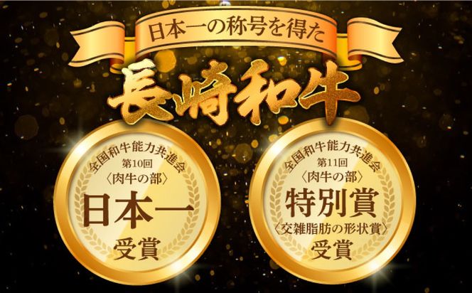 【A4〜A5】長崎和牛 ヒレステーキ 300g（100g×3枚） / 希少部位 赤身 ひれ フィレ ふぃれ 牛肉 / 南島原市 / 株式会社MEAT PLUS[SHG013]